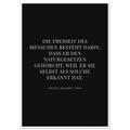 0bbf049d-331d-42f8-8fa1-cd2cbaaad170