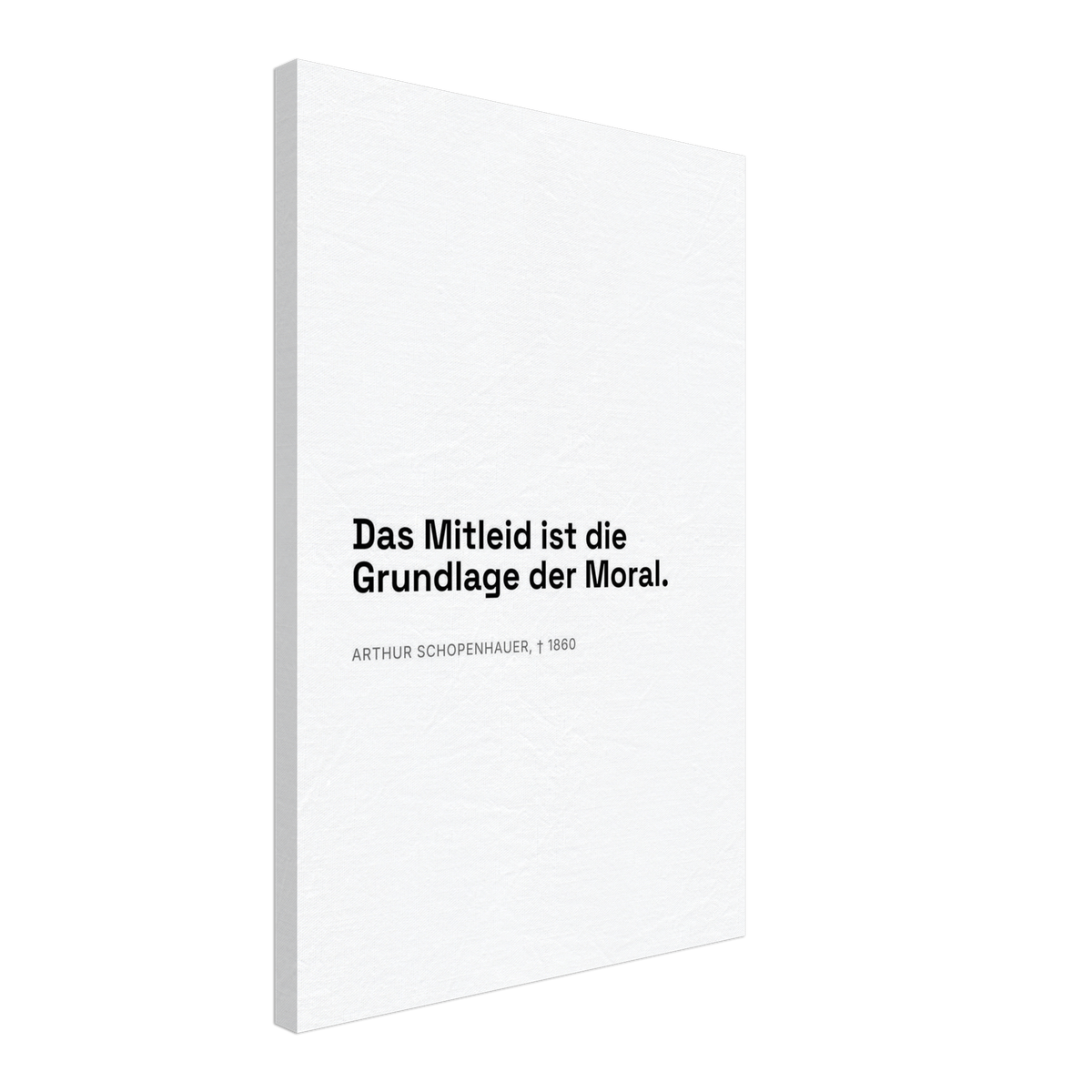 Schopenhauer's Mitleid - Typografisches Zitat auf Leinwand (Leinwand) [Swiss-Weiß]