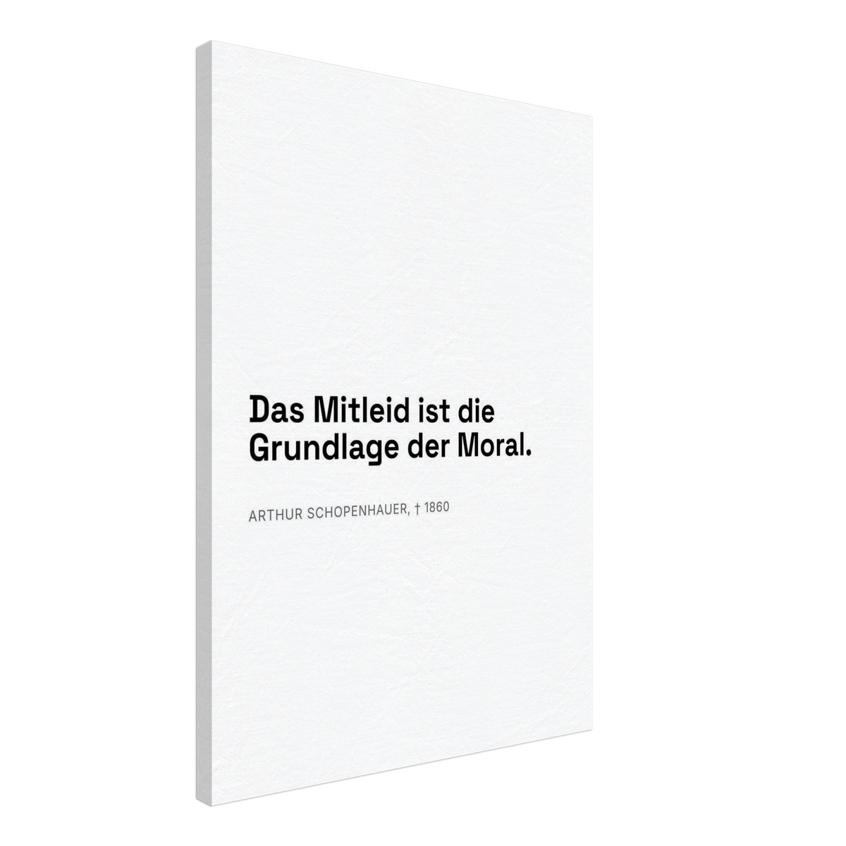 Schopenhauer's Mitleid - Typografisches Zitat auf Leinwand (Leinwand) [Swiss-Weiß]