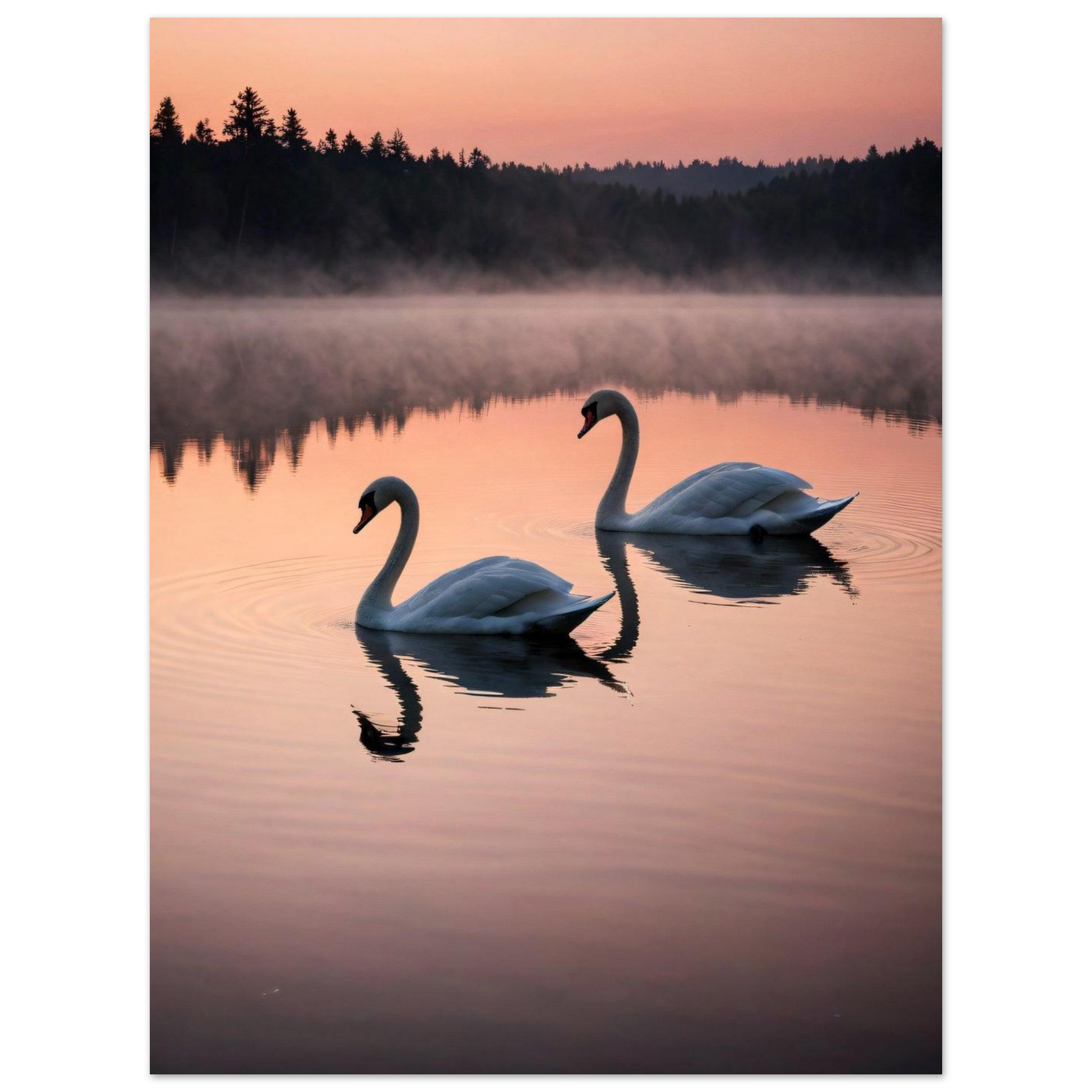 5cf16855-bfad-4ec7-88da-85ed19f8d04d