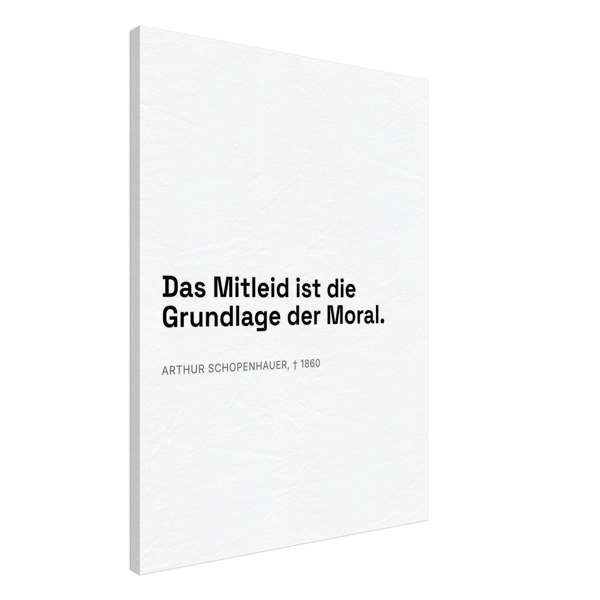 Schopenhauer's Mitleid - Typografisches Zitat auf Leinwand (Leinwand) [Swiss-Weiß]