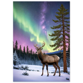 97d46cea-d667-4aff-9bbf-183256da78d8