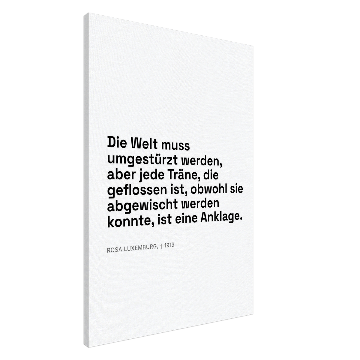 Rosa-Luxemburgs Worte in Schweizer Weiss – Motiv 1 (Leinwand)